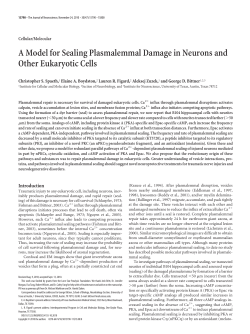 A Model for Sealing Plasmalemmal Damage in Neurons and Other