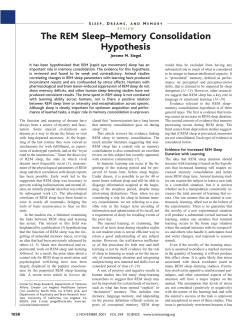 The REM Sleep&ndash;Memory Consolidation Hypothesis