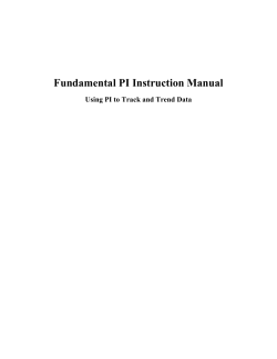 Fundamental PI Instruction Manual