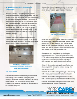 Concare Popcorn Palace Case Study