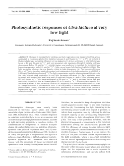 Photosynthetic responses of Ulva lactuca at very