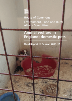 Animal welfare in England: domestic pets report