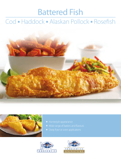 Battered Fish - Multi Plus DM