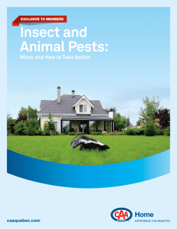 Insect and Animal Pests - CAA
