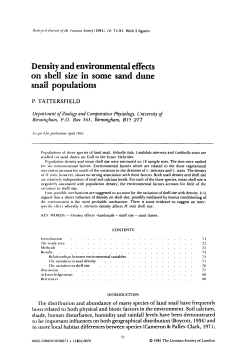 Density and environmental effects on shell size in