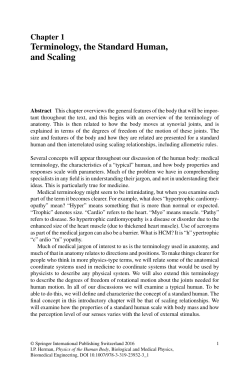 Terminology, the Standard Human, and Scaling