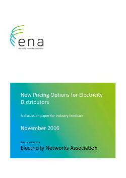 New Pricing Options &ndash; technical discussion paper