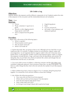 Life Under a Log Objectives: Time: 1 hour Materials: Procedure: