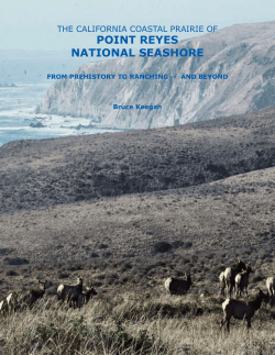 the california coastal prairie of point reyes national seashore
