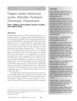 Organic matter&ndash;hosted pore system, Marcellus Formation (Devonian