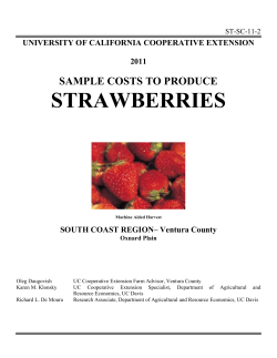 sample costs to produce strawberries