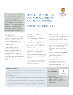 PERSPECTIVES OF ThE BUSINESS SECTOR ON SOCIAL