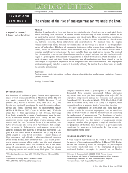 The enigma of the rise of angiosperms: can we untie