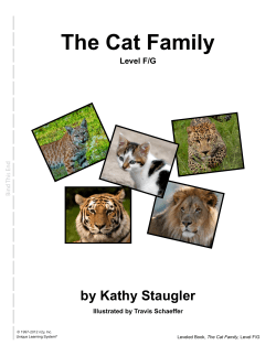 The Cat Family LevelFG