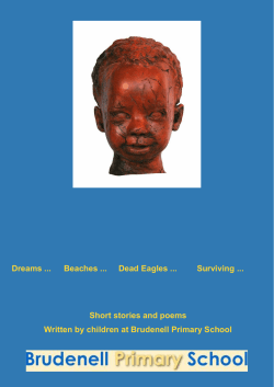Dreams Beaches Dead Eagles Surviving Short stories and
