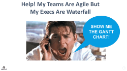 SHOW ME THE GANTT CHART!