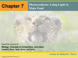 07_Lecture_Presentation