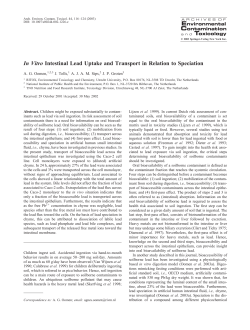 In Vitro Intestinal Lead Uptake and Transport in Relation to Speciation