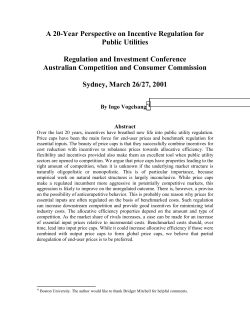A 20-Year Perspective on Incentive Regulation for Public