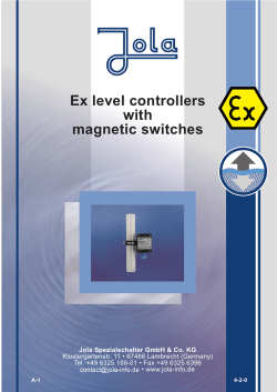 Ex level controllers with magnetic switches