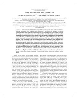 Ecology and Conservation of Sea Turtles in Chile