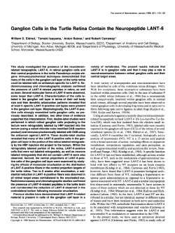 Ganglion Cells in the Turtle Retina Contain the Neuropeptide LANT-6