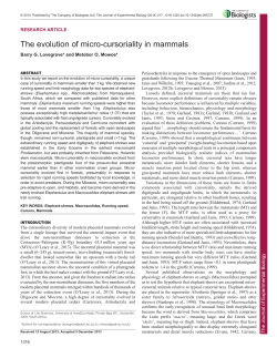 The evolution of micro-cursoriality in mammals
