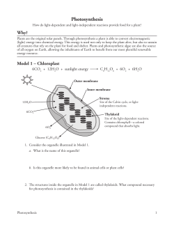 Photosynthesis