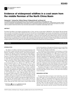 Evidence of widespread wildfires in a coal seam from the middle