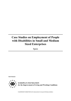 Case Studies on Employment of People with Disabilities in Small