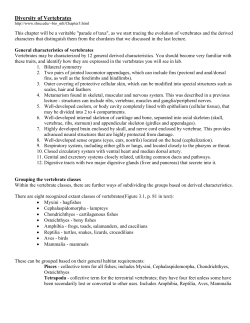 Diversity of Vertebrates