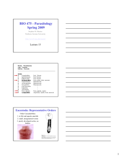 Lecture 15 - Northern Arizona University