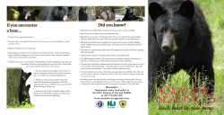 Know the Bear Facts - State of New Jersey