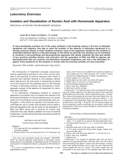 Isolation and visualization of nucleic acid with homemade apparatus
