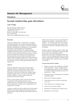 Second rotation blue gum silviculture, 277.05 Kb
