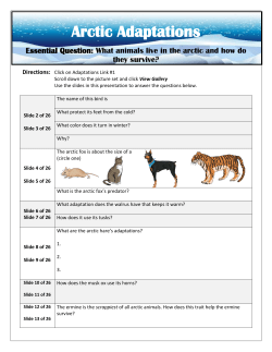 Arctic Adaptations