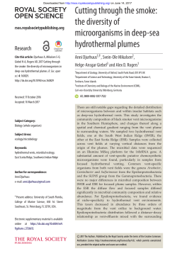 Cutting through the smoke: the diversity of microorganisms in deep
