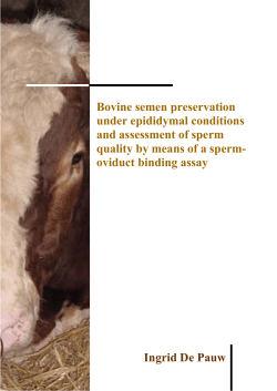 Bovine semen preservation under epididymal conditions and