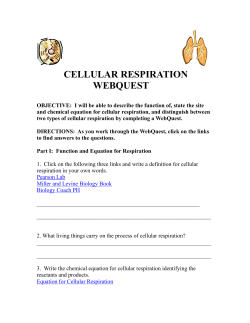 cellular respiration webquest