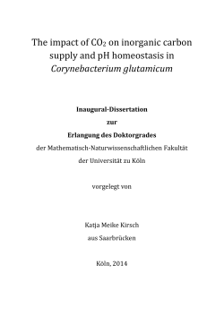 The impact of CO2 on inorganic carbon supply and pH homeostasis