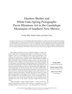 Hunters Shelter and White Oaks Spring Pictographs