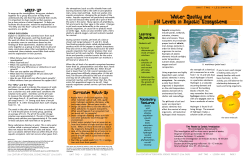 Lesson Nine: Water Quality
