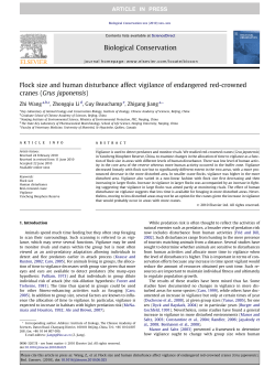 Flock size and human disturbance affect vigilance of endangered