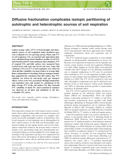 Diffusive fractionation complicates isotopic partitioning of autotrophic