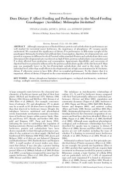 Does Dietary P Affect Feeding and Performance