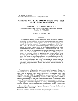 MECHANICS OF A RAPID RUNNING INSECT: TWO-, FOUR