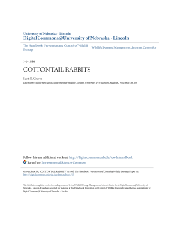 cottontail rabbits - DigitalCommons@University of Nebraska