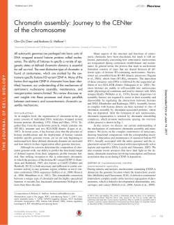 Chromatin assembly: Journey to the CENter of the chromosome