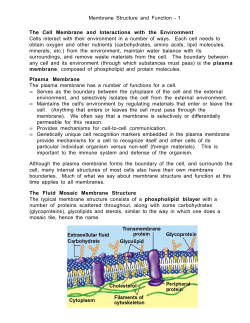 Membrane Structure and Function