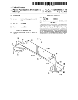 (2) Patent Application Publication (10) Pub. No.: US 2012/0132602 A1